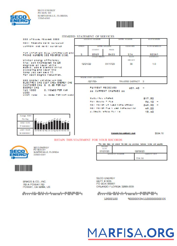 Realistic Seco Energy utility business bill, SCR template